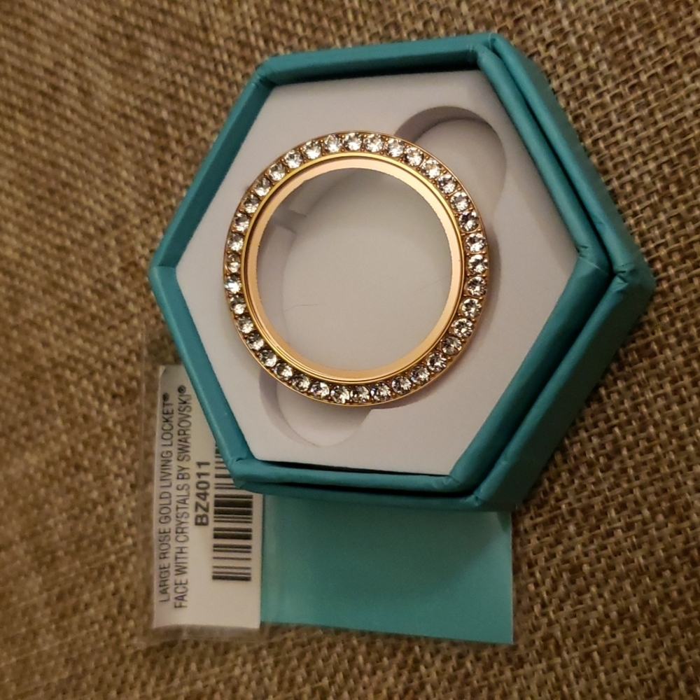 Origami Owl locket FACE